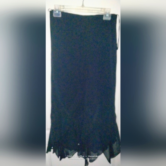 Sandra Darren dressy skirt with Beautiful beaded bottom, size 10 - Picture 2 of 7